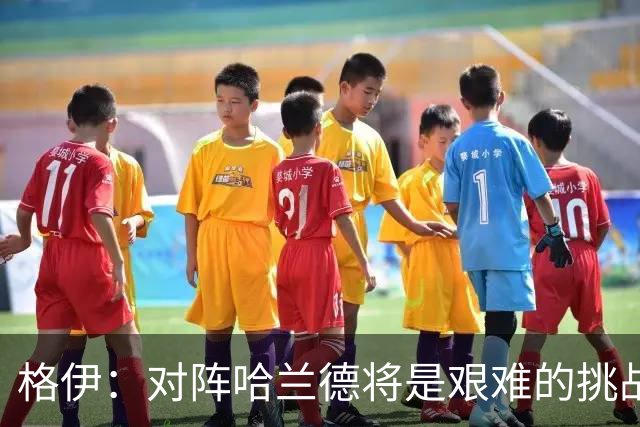 格伊：对阵哈兰德将是艰难的挑战，但我们会竭尽全力争取胜利