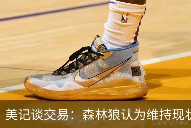 美记谈交易：森林狼认为维持现状无法争冠 三球是为数不多纯控卫